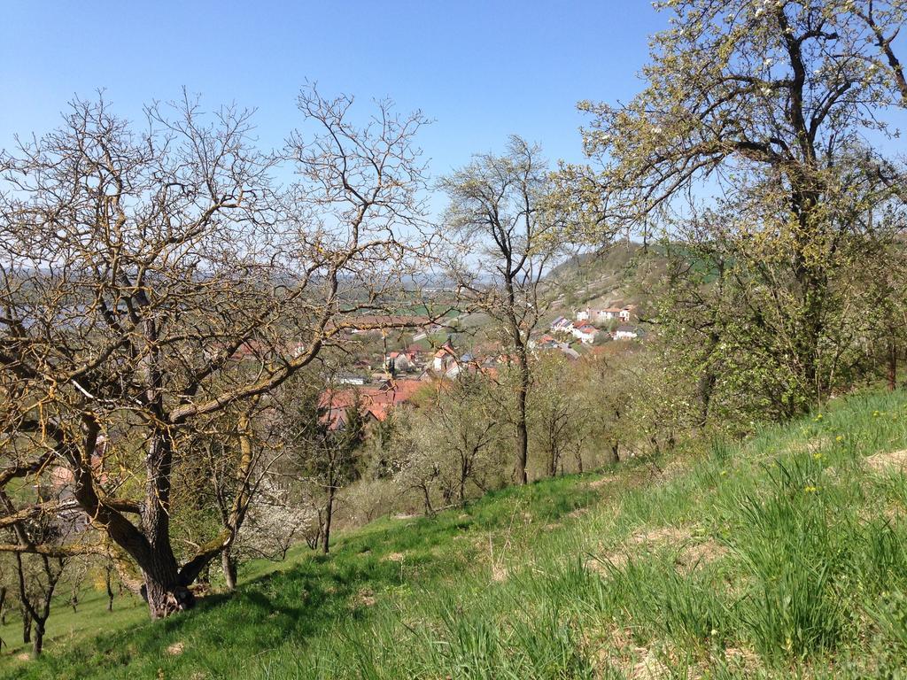 Alte Rose Gasthaus Ξενοδοχείο Ebelsbach Δωμάτιο φωτογραφία