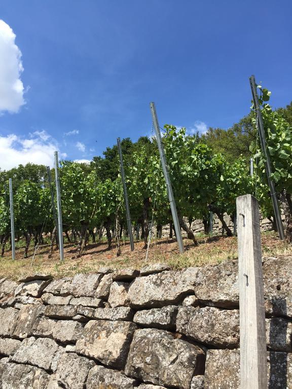 Alte Rose Gasthaus Ξενοδοχείο Ebelsbach Εξωτερικό φωτογραφία